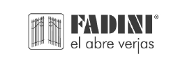 fadini2